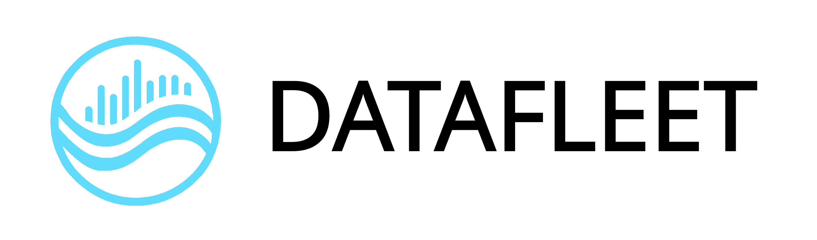 DataFleet Logo