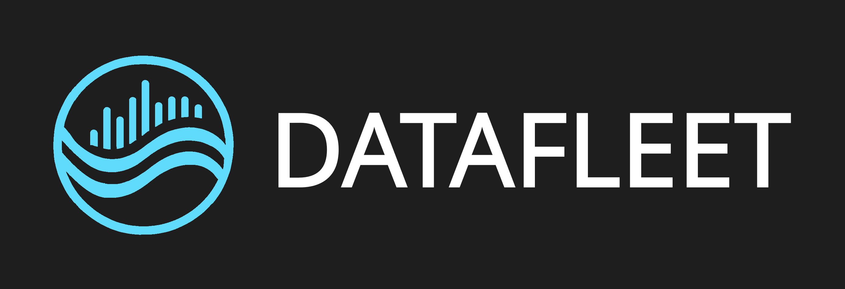 DataFleet Logo